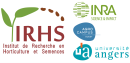 Logo IRHS