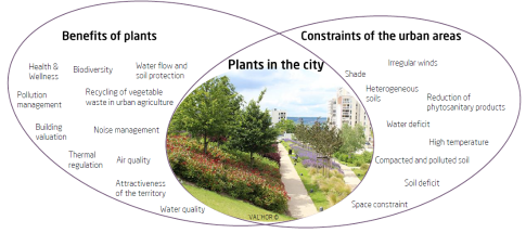 Plants in the city, benefits, contraintes, urbain areas