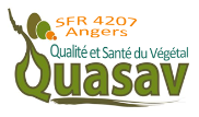 logo SFR QUASAV
