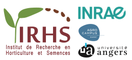 logo IRHS