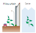 Illustration du projet OBAUC impact du milieu urbain sur les plantes